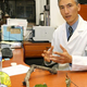 A researcher explains the $6 million goddamn tree branch study to reporters.